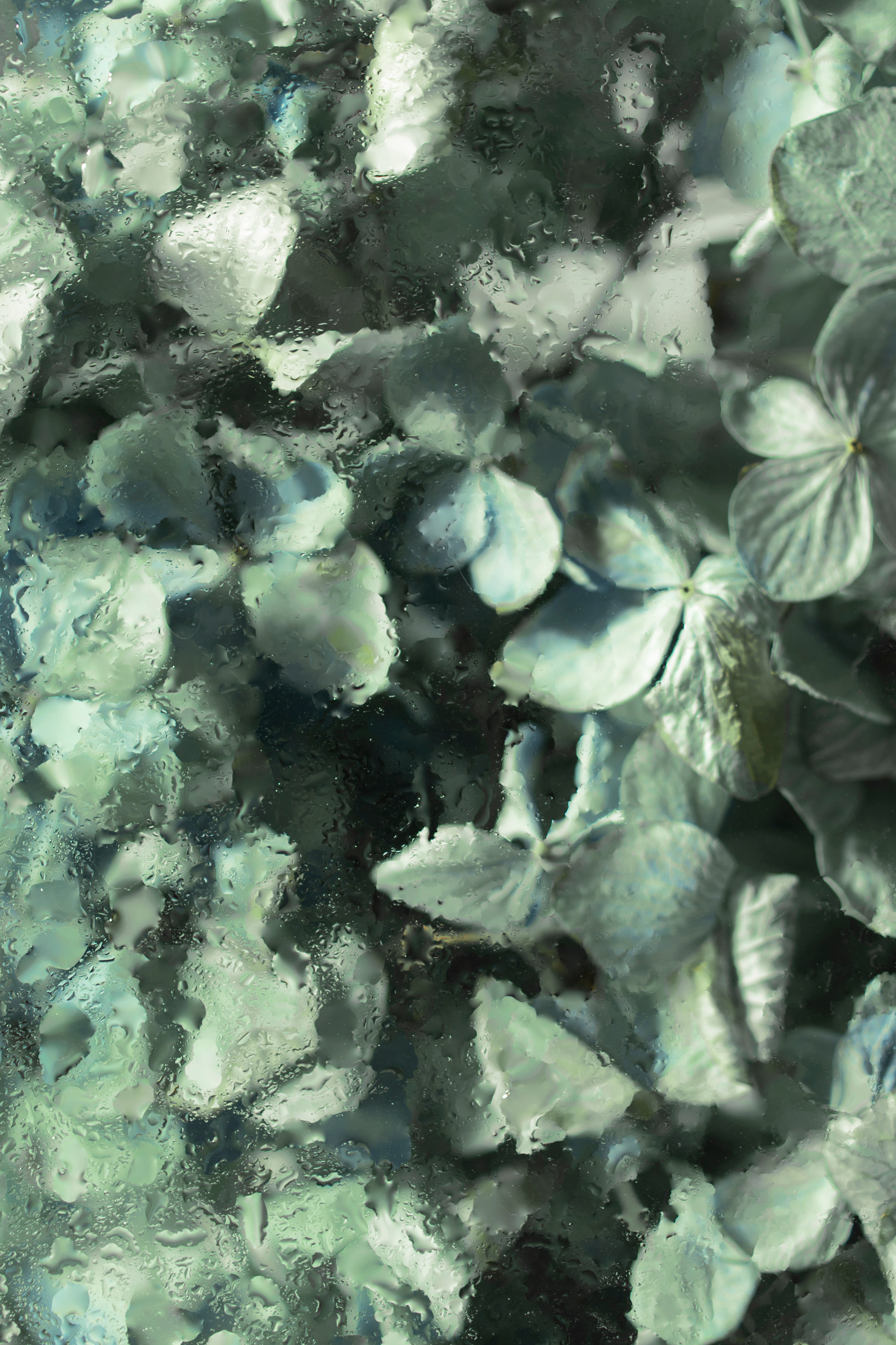 Signature Renewal Facial